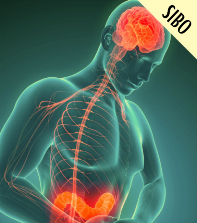 Syndrom propustn&eacute;ho střeva