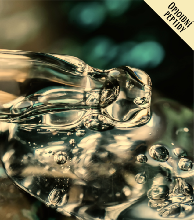 Opioidn&iacute; peptidy
